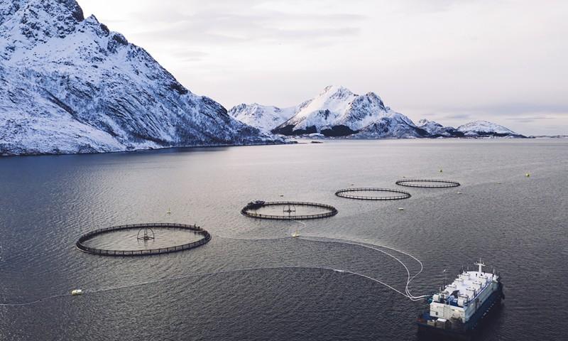 Fishing Cage of Garware Technical Fibres